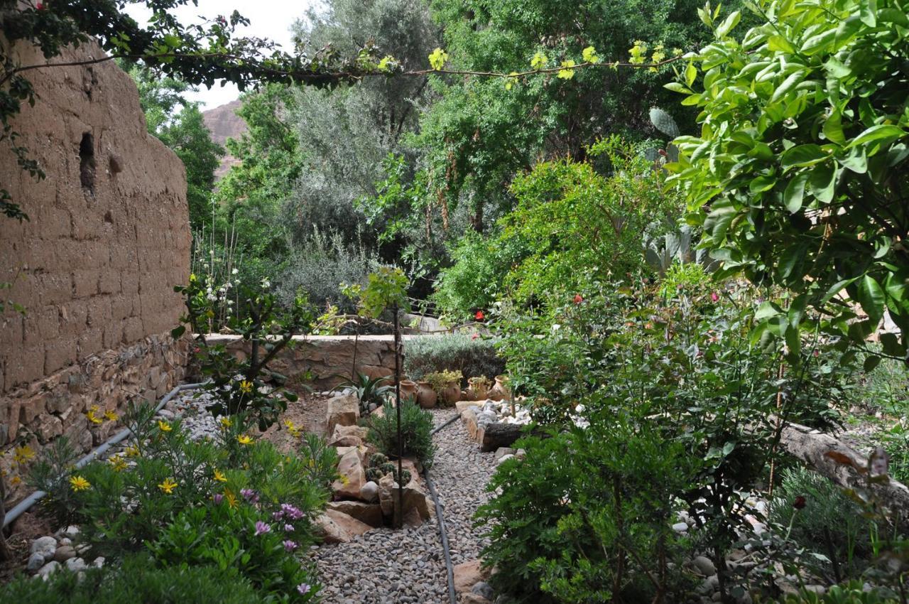 A Secret Garden Tinghir Exterior foto