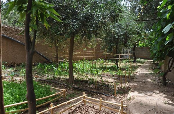 A Secret Garden Tinghir Exterior foto